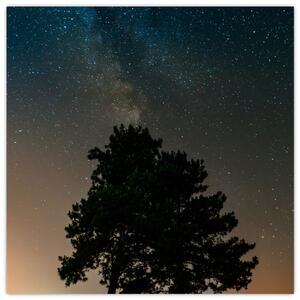 Obraz noční oblohy se stromy (30x30 cm)
