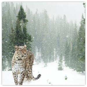 Obraz leoparda ve sněhu (30x30 cm)