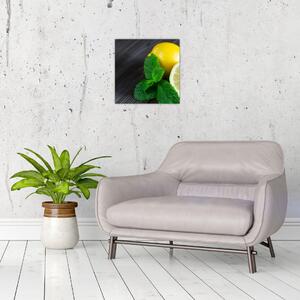 Obraz citrónů a máty na stole (30x30 cm)