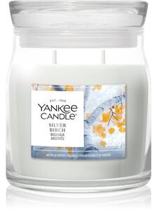 Yankee Candle Silver Birch vonná svíčka 368 g