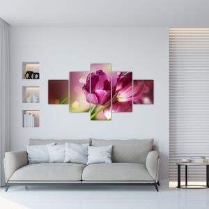 Obraz růžových tulipánů (125x70 cm)