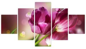 Obraz růžových tulipánů (125x70 cm)