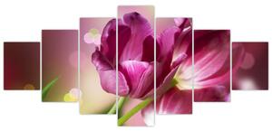 Obraz růžových tulipánů (210x100 cm)
