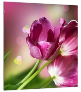 Obraz růžových tulipánů (30x30 cm)