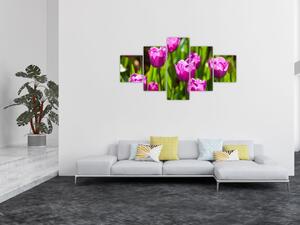 Obraz tulipánů na louce (125x70 cm)