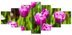 Obraz tulipánů na louce (210x100 cm)