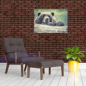 Obraz medvěda (70x50 cm)