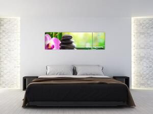 Obraz masážních kamenů a orchidee na vodě (170x50 cm)