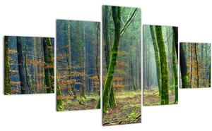Obraz lesa (125x70 cm)