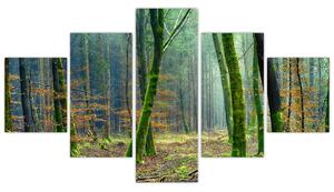 Obraz lesa (125x70 cm)