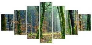 Obraz lesa (210x100 cm)