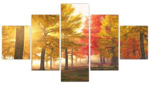 Obraz podzimních stromů (125x70 cm)