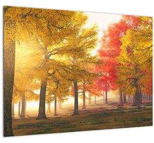 Obraz podzimních stromů (70x50 cm)