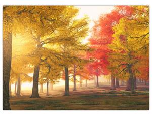 Obraz podzimních stromů (70x50 cm)