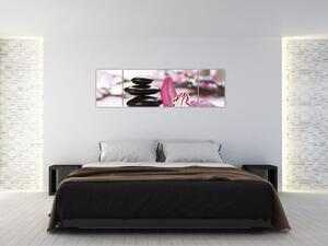 Obraz masážních kamenů a orchidee (170x50 cm)