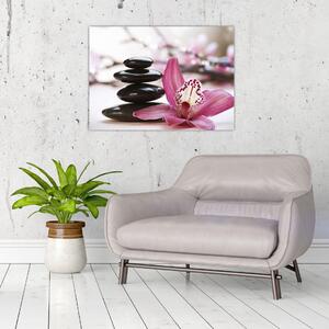 Obraz masážních kamenů a orchidee (70x50 cm)