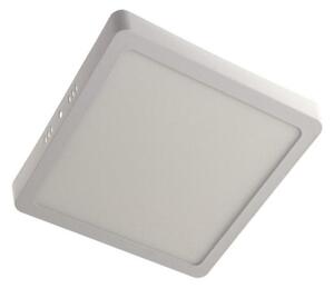 LED Stropní svítidlo GERRY LED/18W/230V 4000K bílá