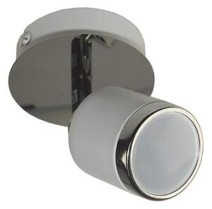 Bodové svítidlo ALEC 1xGU10/30W/230V bílá