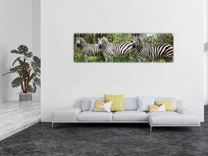 Obraz s zebrami (170x50 cm)
