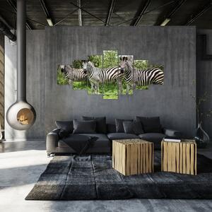 Obraz s zebrami (210x100 cm)