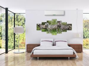 Obraz s zebrami (210x100 cm)