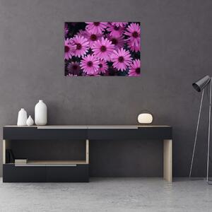 Obraz růžových květů (70x50 cm)