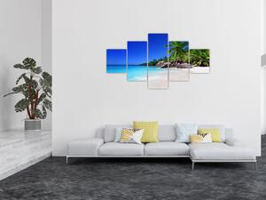 Obraz pláže na Praslin ostrově (125x70 cm)