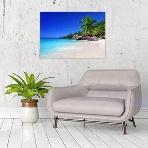 Obraz pláže na Praslin ostrově (70x50 cm)