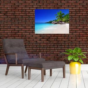 Obraz pláže na Praslin ostrově (70x50 cm)