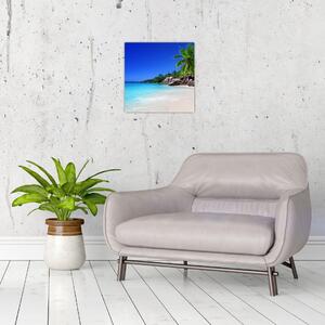 Obraz pláže na Praslin ostrově (30x30 cm)
