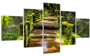 Obraz schodů v deštném pralese (125x70 cm)