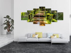 Obraz schodů v deštném pralese (210x100 cm)