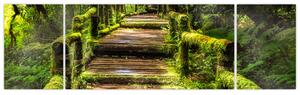 Obraz schodů v deštném pralese (170x50 cm)