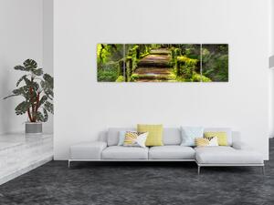 Obraz schodů v deštném pralese (170x50 cm)