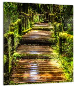 Obraz schodů v deštném pralese (30x30 cm)