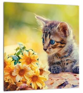 Obraz koťátka dívající se na květinu (30x30 cm)