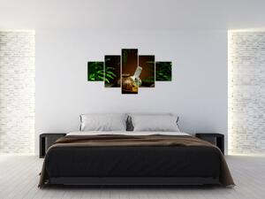 Obraz spa věcí (125x70 cm)