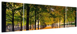 Obraz aleje podzimních stromů (170x50 cm)