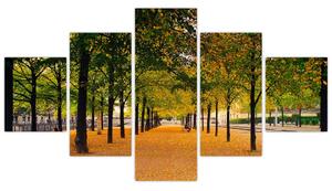 Obraz aleje podzimních stromů (125x70 cm)