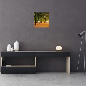 Obraz aleje podzimních stromů (30x30 cm)