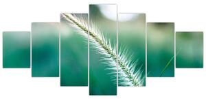 Obraz stébla trávy (210x100 cm)