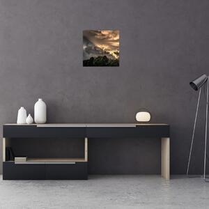Obraz mračen a lesa (30x30 cm)