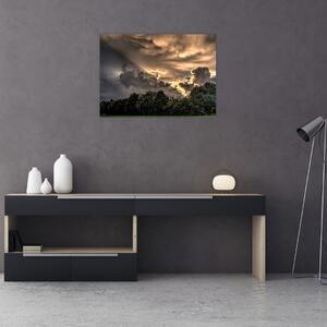 Obraz mračen a lesa (70x50 cm)