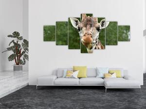 Obraz žirafy (210x100 cm)