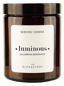 The Olphactory CALABRIAN BERGAMOT ✷luminous✷