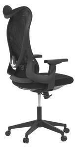 Židle kancelářská AUTRONIC KA-S248 BK černá