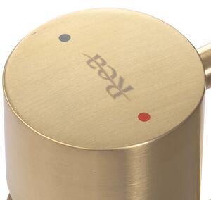 Rea TESS - Vysoká umyvadlová baterie, zlatá matná, REA-B5660
