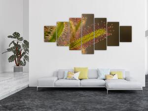 Obraz rostliny (210x100 cm)
