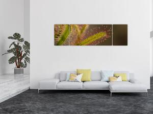 Obraz rostliny (170x50 cm)