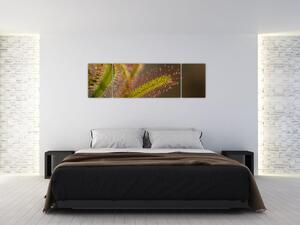 Obraz rostliny (170x50 cm)